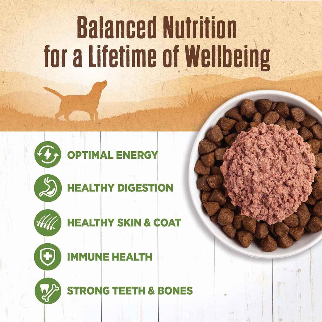 Wellness® 95% Lamb Natural Wet Grain Free Canned Dog Food, 13.2-Ounce Can