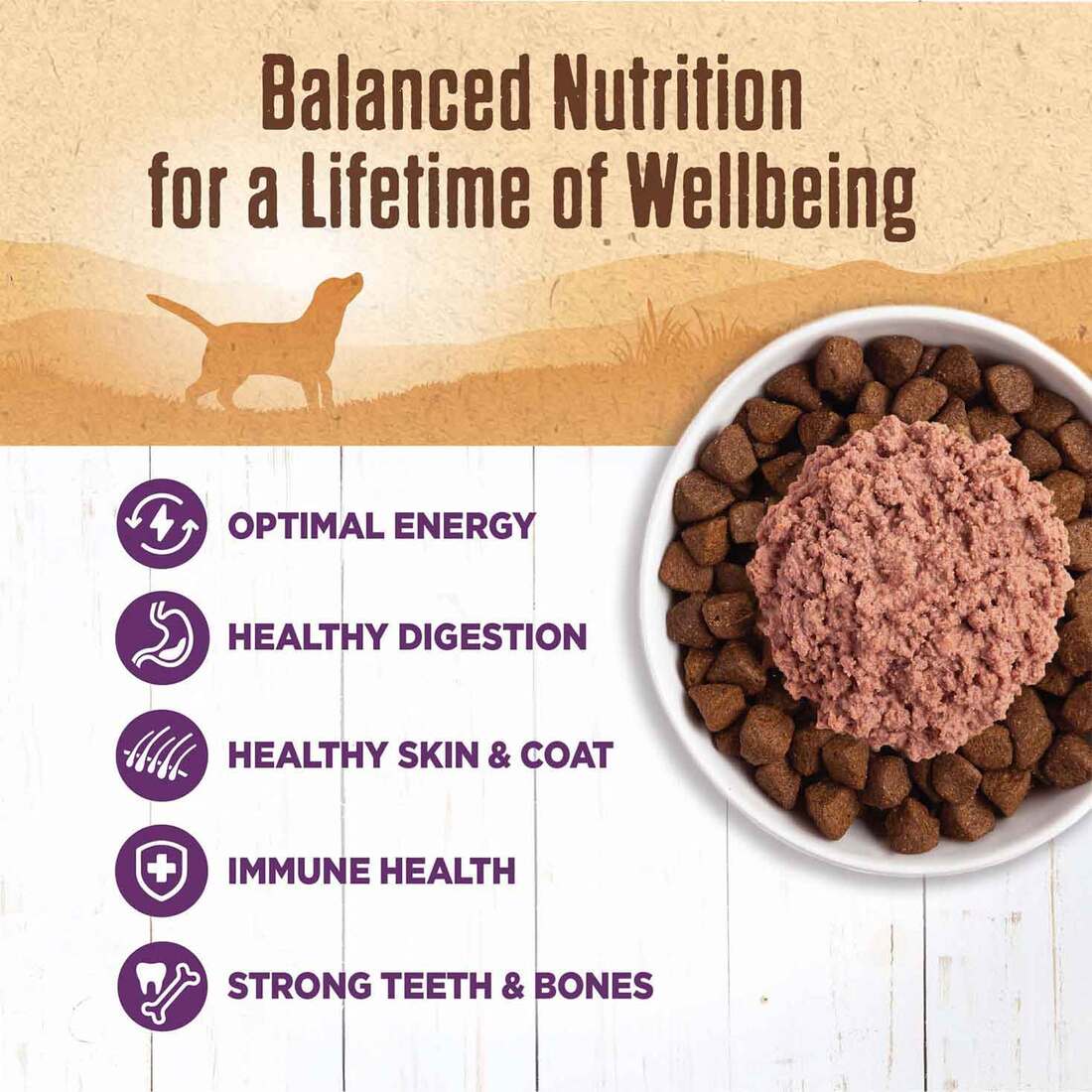 Wellness® 95% Chicken Natural Wet Grain Free Canned Dog Food, 13.2-Ounce Can